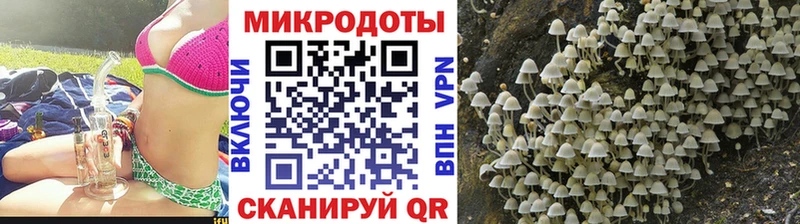 цена   Агидель  Галлюциногенные грибы GOLDEN TEACHER 